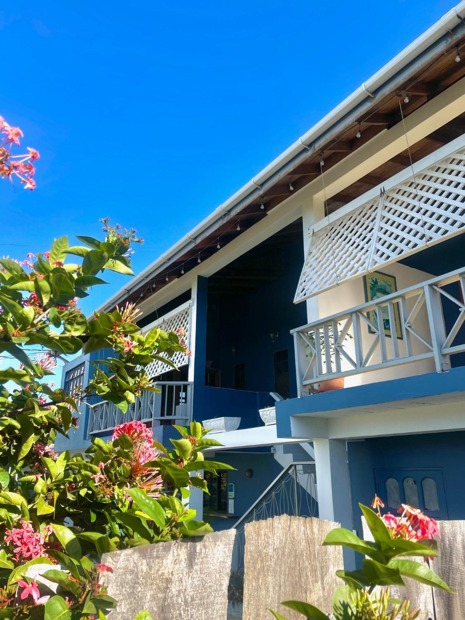 Bananaquit Tobago -Stay Near The Beach Crown Point Bagian luar foto